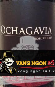 Kết quả hình ảnh cho vang chile ochagavia espuela