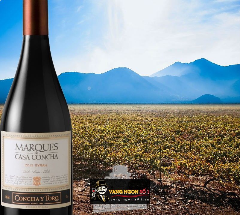 Kết quả hình ảnh cho MARQUES CASA CONCHA syrah