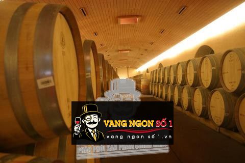 Kết quả hình ảnh cho MARQUES CASA CONCHA CARMENERE