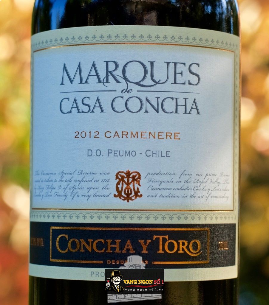 Kết quả hình ảnh cho MARQUES CASA CONCHA CARMENERE