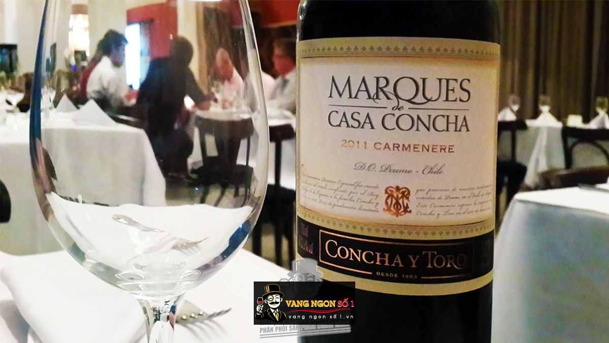 Kết quả hình ảnh cho MARQUES CASA CONCHA CARMENERE