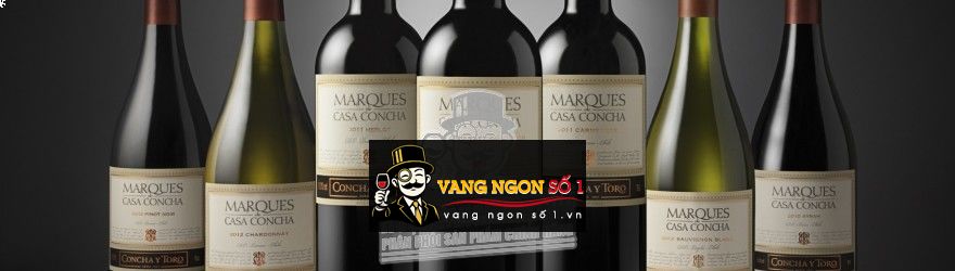 Hình ảnh có liên quan