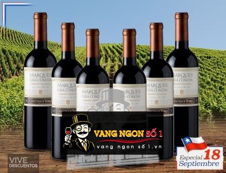 Kết quả hình ảnh cho MARQUES CASA CONCHA CABERNET SAUVIGNON