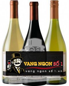 Kết quả hình ảnh cho marques de casa concha chardonnay