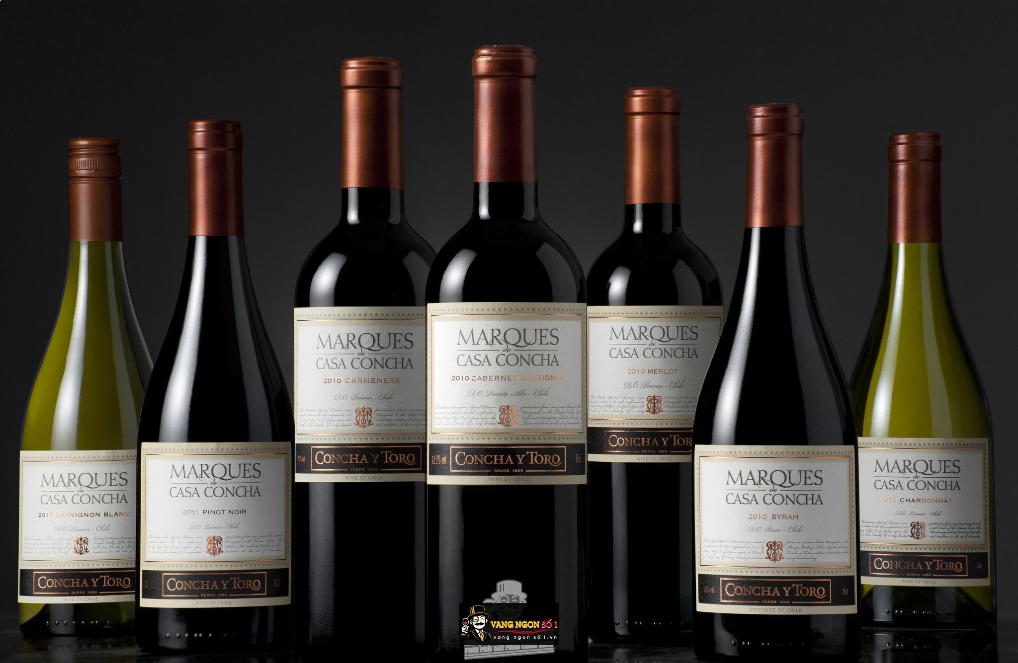 Kết quả hình ảnh cho MARQUES CASA CONCHA CABERNET SAUVIGNON