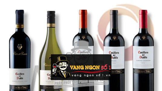 Kết quả hình ảnh cho casillero del diablo cabernet sauvignon reserva