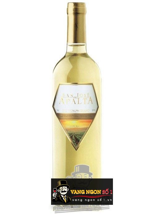 Kết quả hình ảnh cho apalta tradition sauvignon blanc