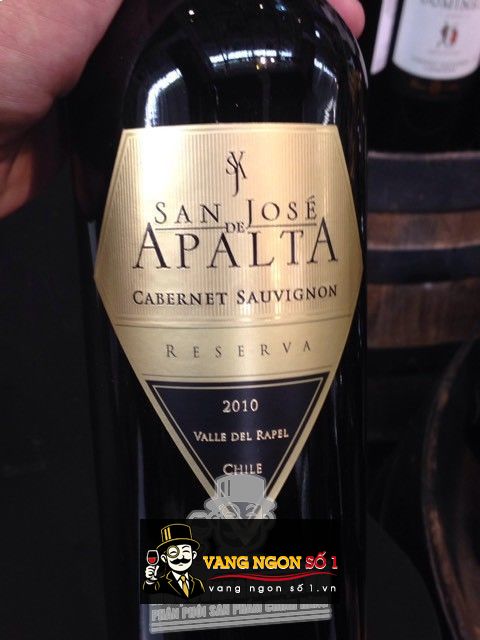 Káº¿t quáº£ hÃ¬nh áº£nh cho vang chile apalta cabernet sauvignon