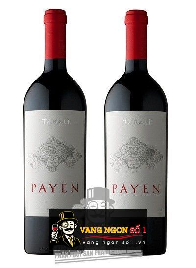 Kết quả hình ảnh cho vang chile tabali pAYEN
