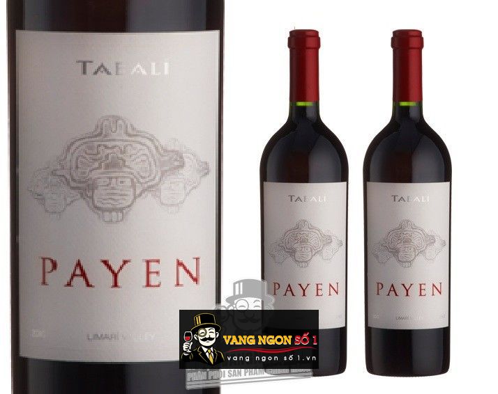 Kết quả hình ảnh cho vang chile tabali pAYEN