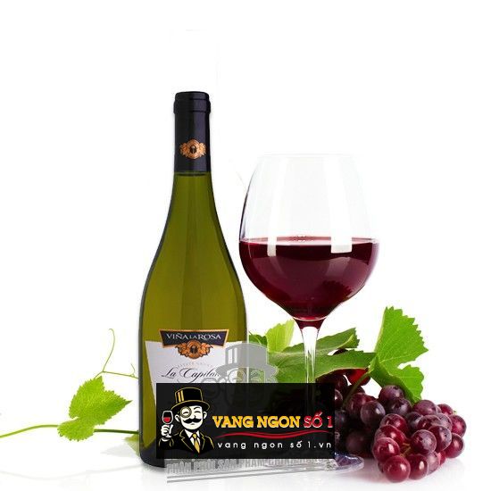 Kết quả hình ảnh cho vang chile la capitana chardonnay