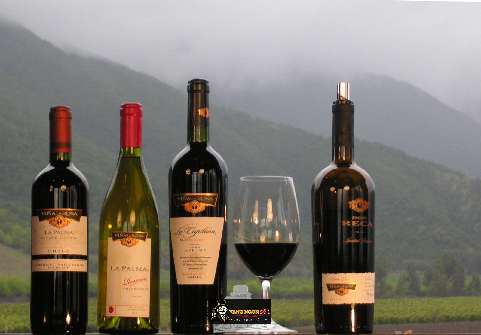 Kết quả hình ảnh cho vang chile la capitana cabernet sauvignon