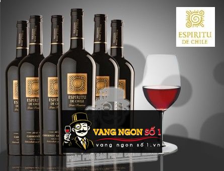 Káº¿t quáº£ hÃ¬nh áº£nh cho espiritu de chile gran reserva cabernet sauvignon