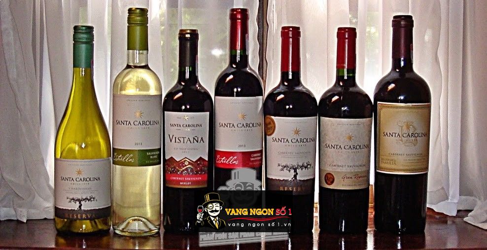 Kết quả hình ảnh cho santa carolina reserva chardonnay