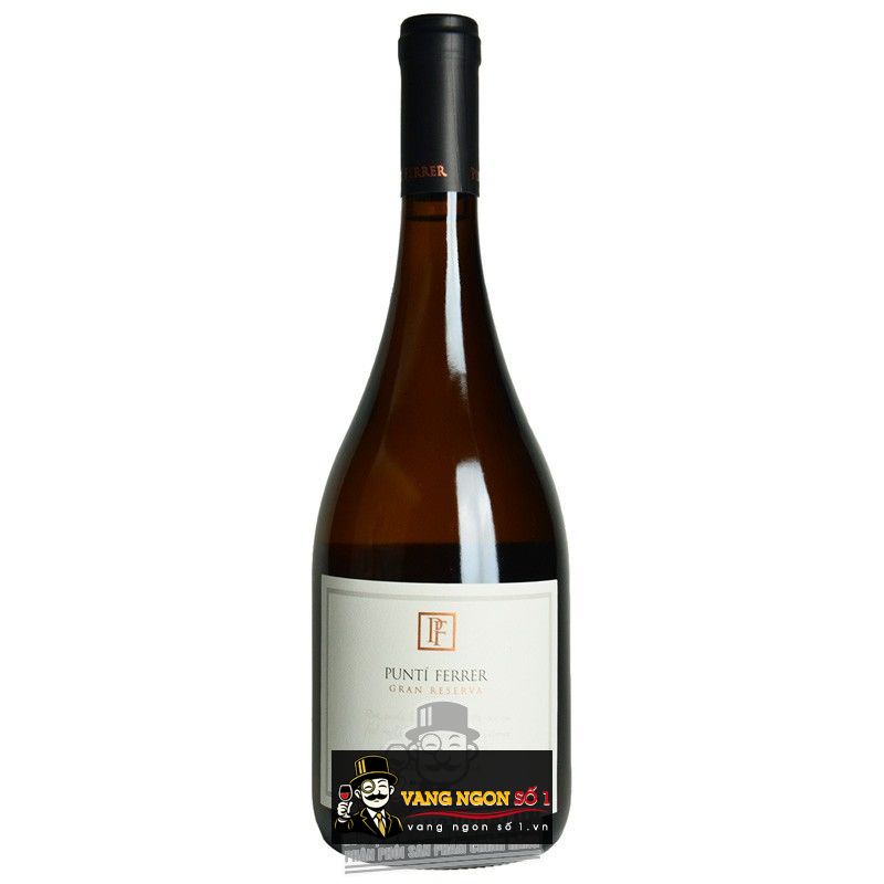 Kết quả hình ảnh cho punti ferrer gran reserva chardonnay