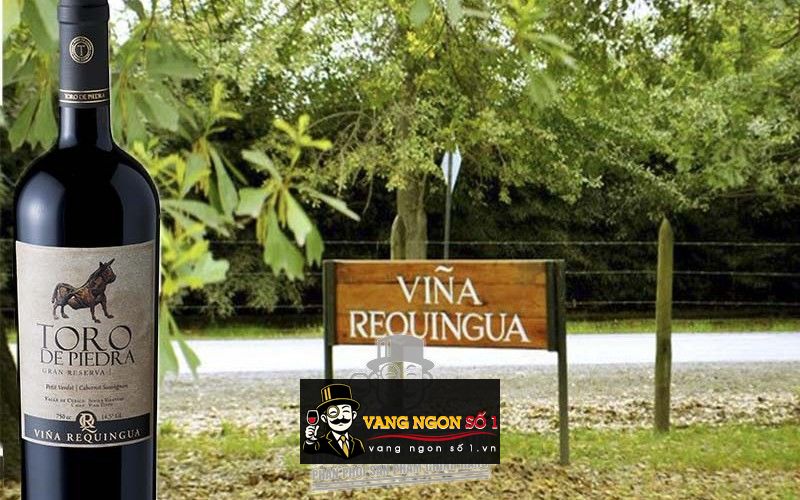 Káº¿t quáº£ hÃ¬nh áº£nh cho toro de piedra cabernet sauvignon