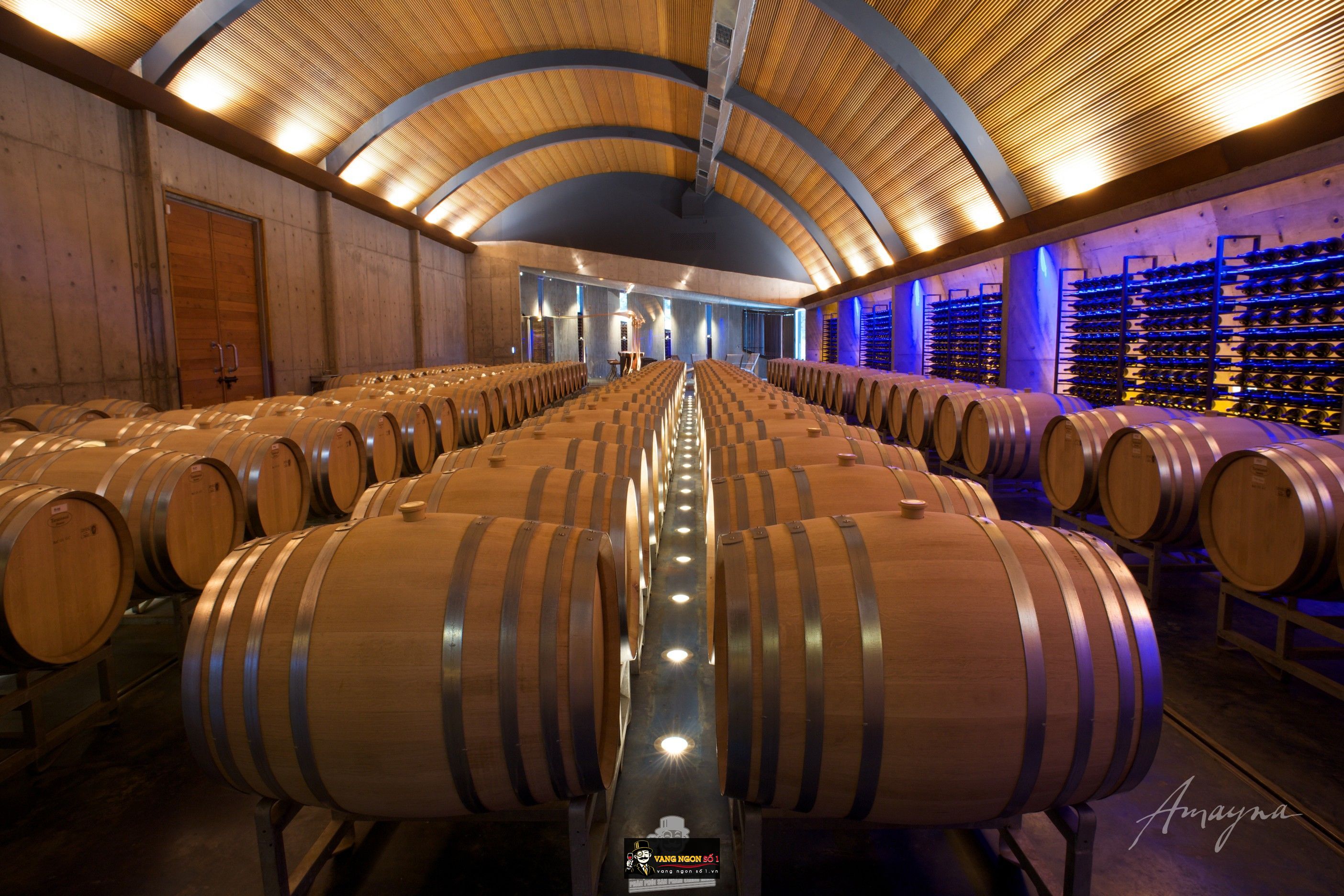 Kết quả hình ảnh cho amayna pinot noir