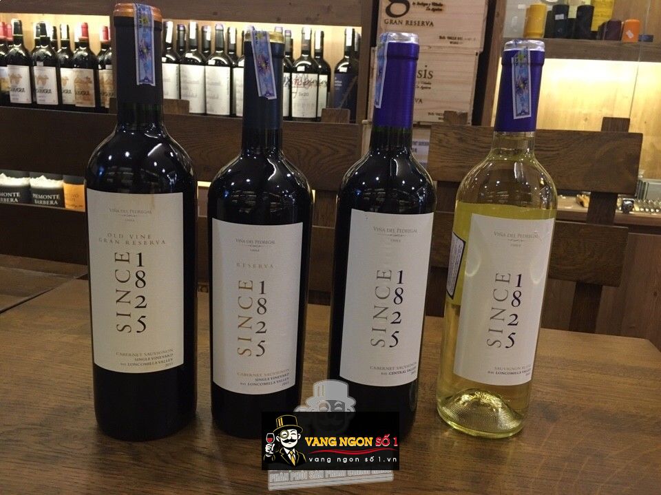 Kết quả hình ảnh cho vang chile since 1825