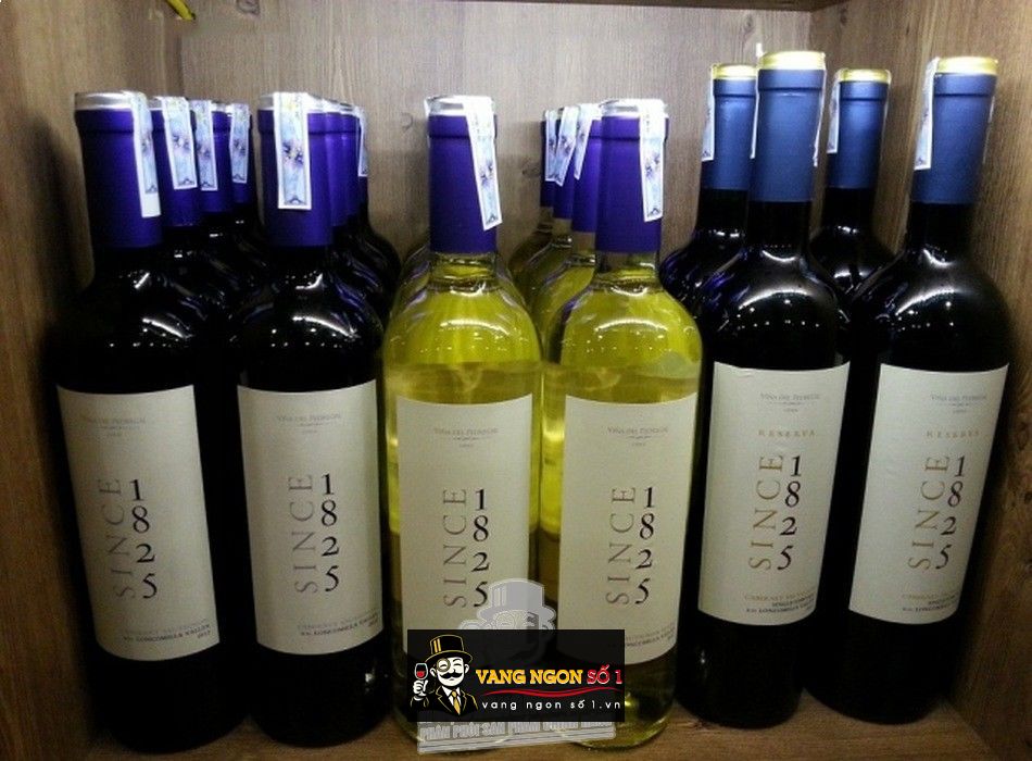 Kết quả hình ảnh cho vang chile since 1825