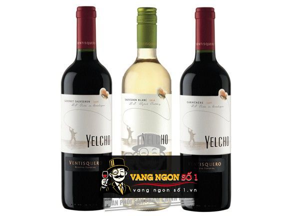 Kết quả hình ảnh cho ventisquero yelcho cabernet