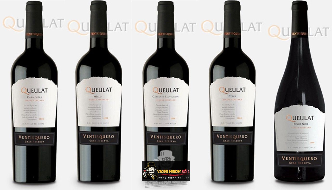 Kết quả hình ảnh cho queulat merlot