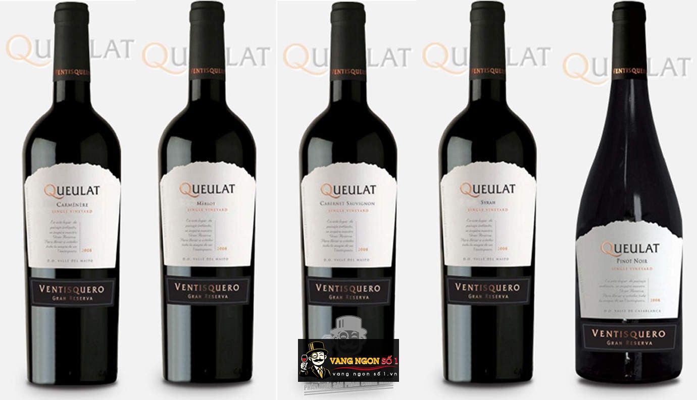 Kết quả hình ảnh cho queulat carmenere
