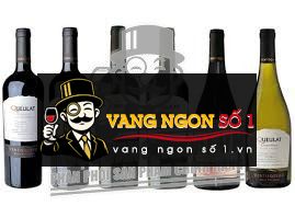 Kết quả hình ảnh cho queulat cabernet sauvignon