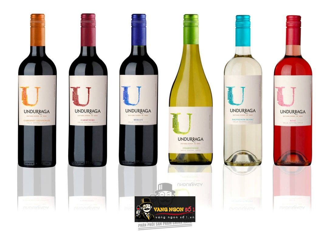 Kết quả hình ảnh cho undurraga cabernet sauvignon 2015