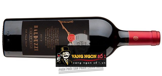 Kết quả hình ảnh cho balduzzi b ultra reserva