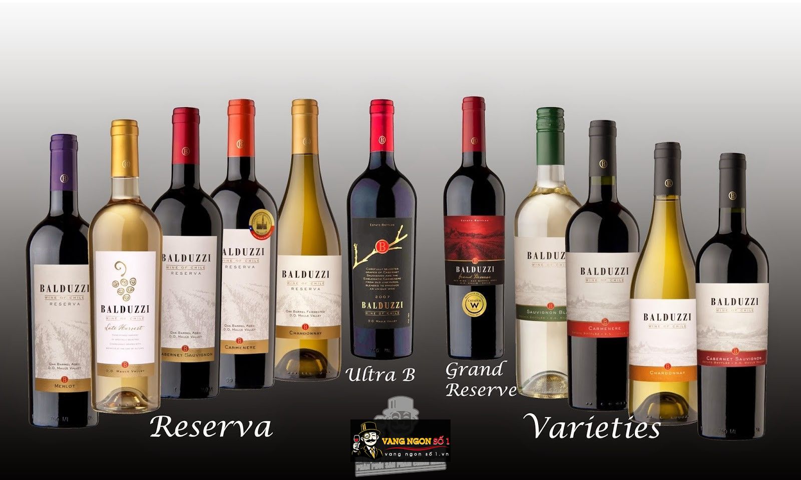 Kết quả hình ảnh cho balduzzi b ultra reserva