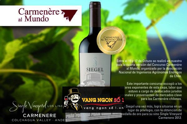 Kết quả hình ảnh cho vang chile siegel SINGLE VINEYARD CARMENERE