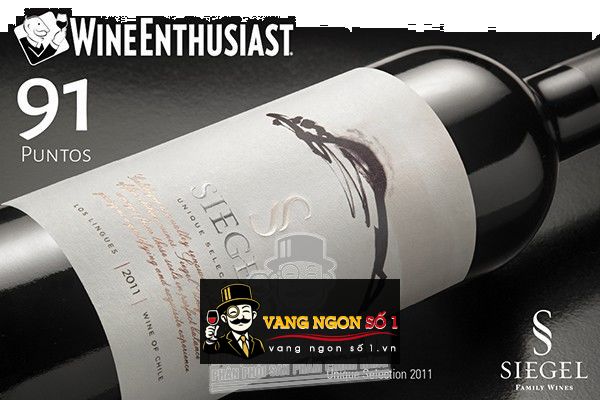 Kết quả hình ảnh cho siegel UNIQUE SELECTION