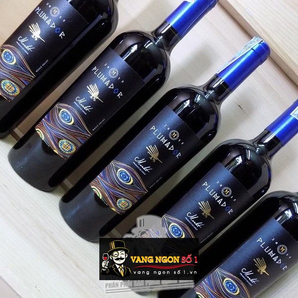 Kết quả hình ảnh cho vang chile plumador