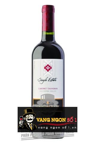 Kết quả hình ảnh cho VANG CHILE Casas del toqui