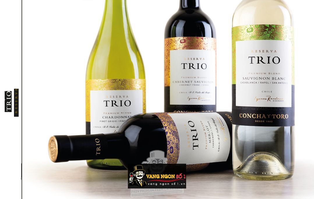 Kết quả hình ảnh cho concha y toro merlot trio