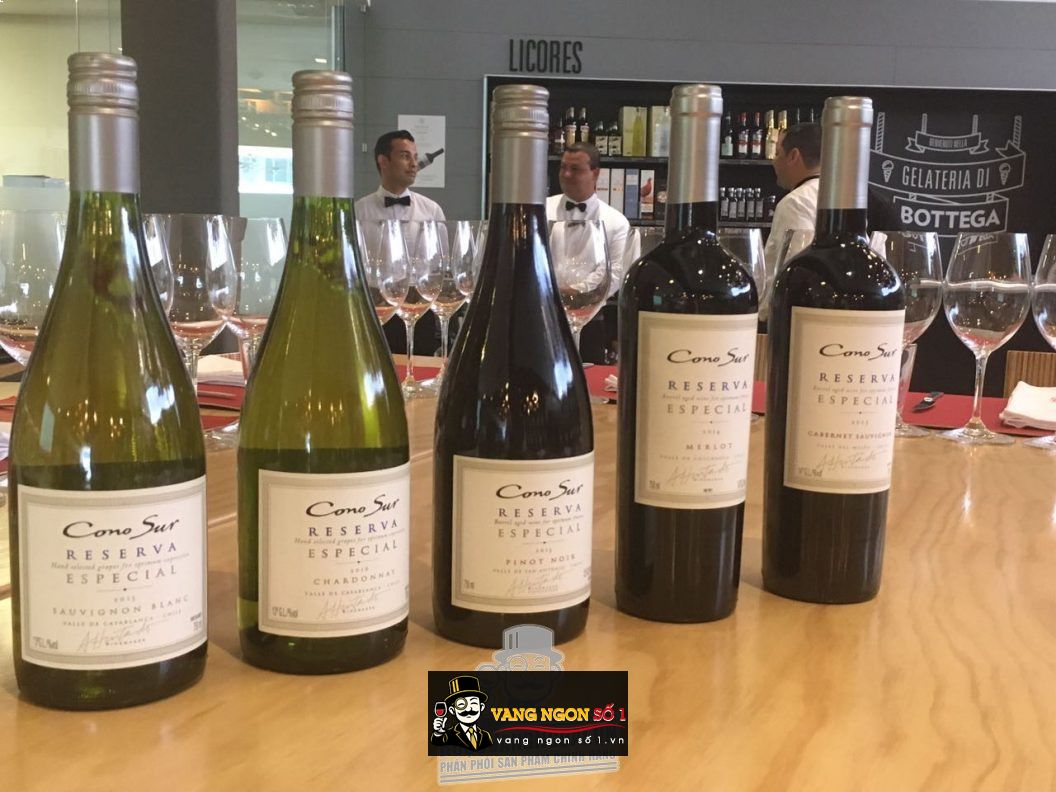 Kết quả hình ảnh cho cono sur reserva especial sauvignon blanc