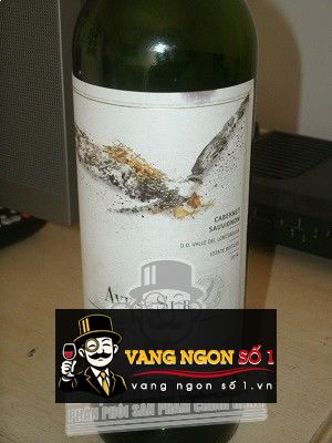 Kết quả hình ảnh cho vang chile aves del sur gran reserva cabernet sauvignon