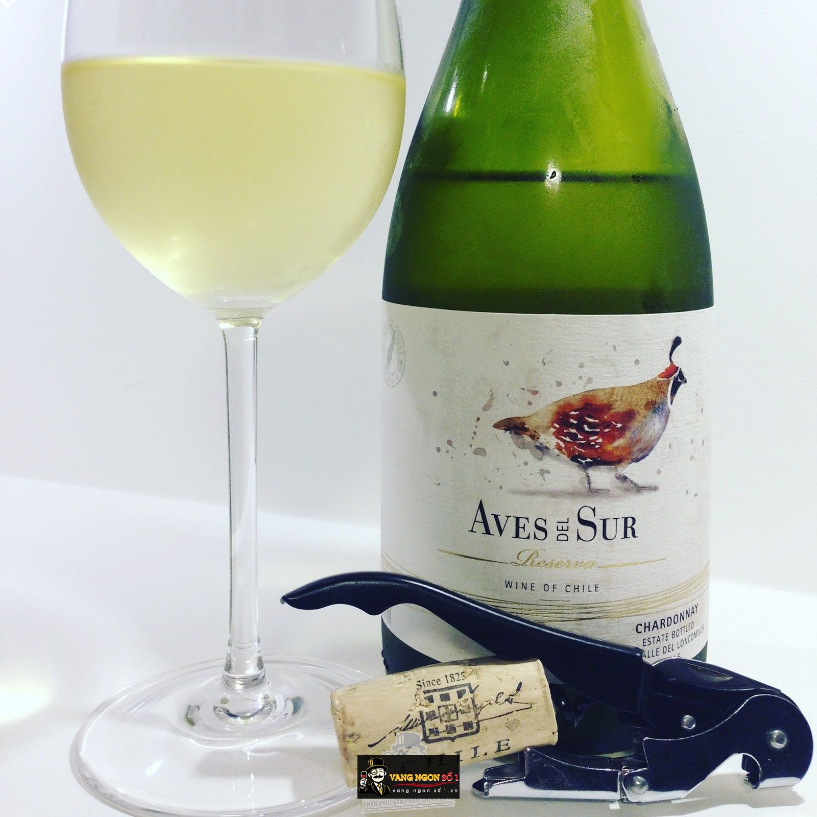 Kết quả hình ảnh cho aves del sur reserva chardonnay