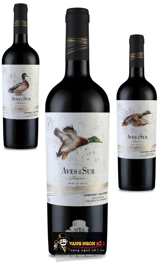 Kết quả hình ảnh cho aves del sur reserva