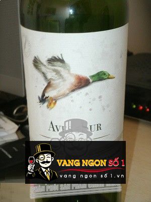 Kết quả hình ảnh cho aves del sur reserva