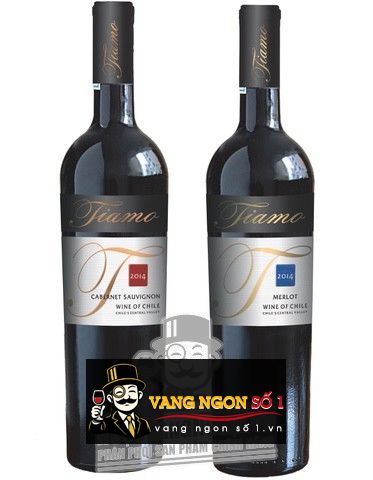 Kết quả hình ảnh cho vang chile tiamo merlot
