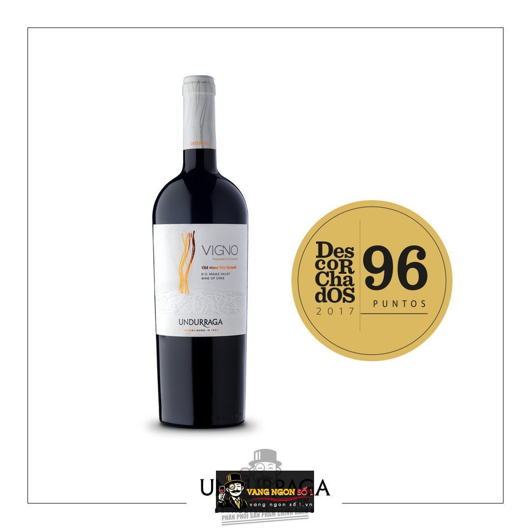 Kết quả hình ảnh cho undurraga vigno