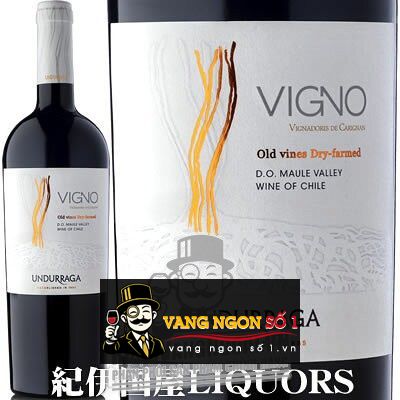 Kết quả hình ảnh cho undurraga vigno