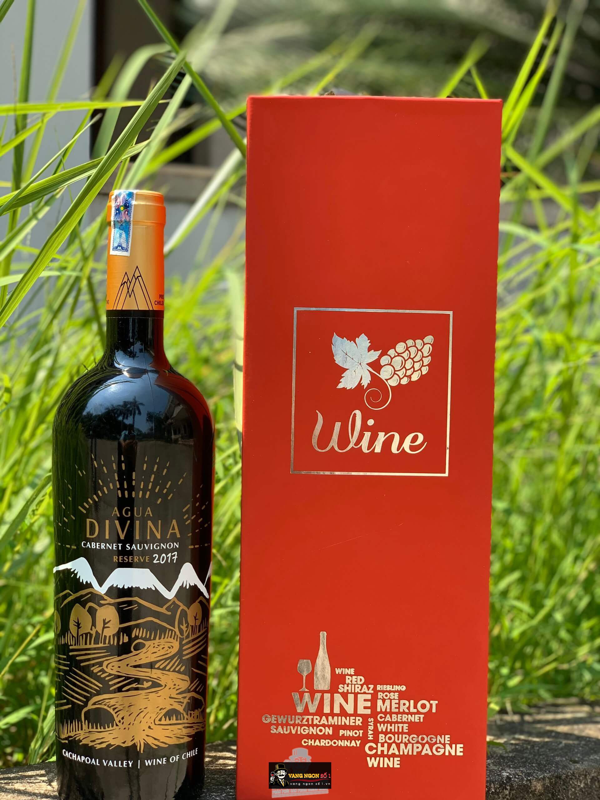 Kết quả hình ảnh cho divina agua cabernet sauvignon