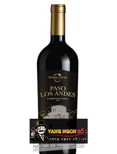 Kết quả hình ảnh cho vang chile paso los andes gran reserva