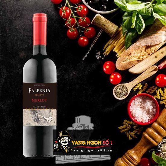 Kết quả hình ảnh cho falernia merlot reserva