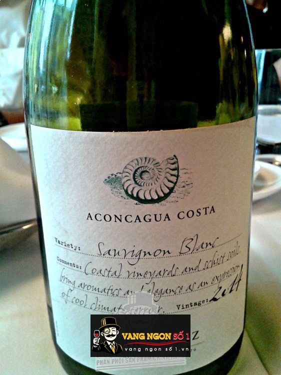 Káº¿t quáº£ hÃ¬nh áº£nh cho ACONCAGUA COSTA SAUVIGNON BLANC ERRAZURIZ