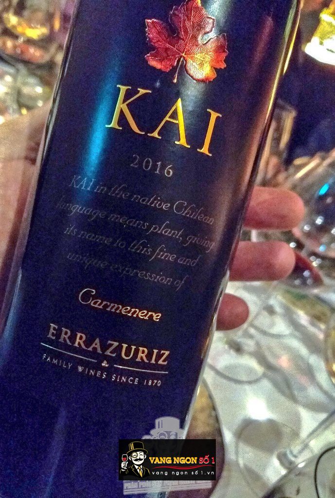 Káº¿t quáº£ hÃ¬nh áº£nh cho kai carmenere errazuriz 2016