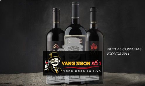 Káº¿t quáº£ hÃ¬nh áº£nh cho kai carmenere errazuriz 2016