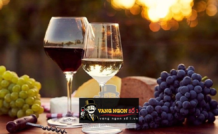 Káº¿t quáº£ hÃ¬nh áº£nh cho vang chile moreno cabernet sauvignon
